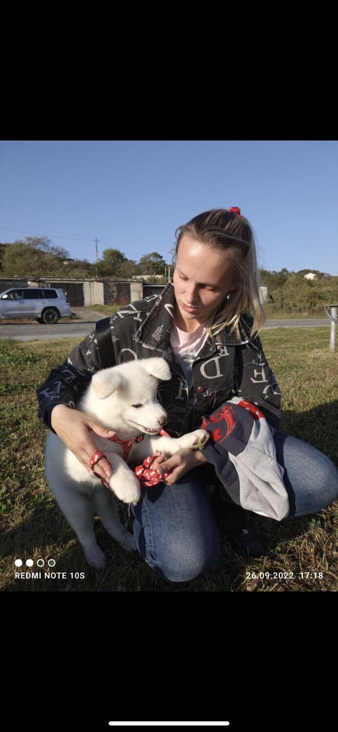 ���������� �����������, ���� ������� ������, 24 ����, ������������ ��� ���������