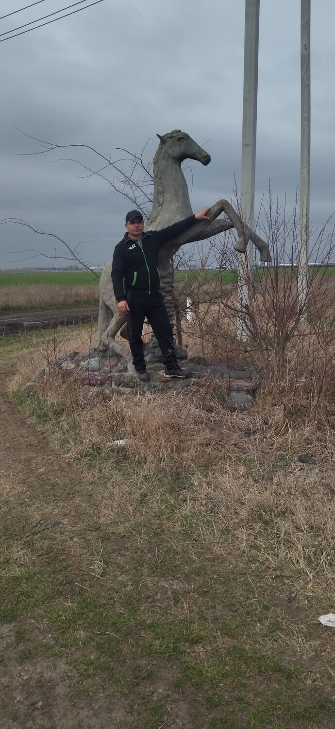 ���� 43914894 ������� �����, 43 ����, ���� ���������� � ����������