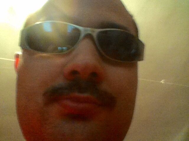 ���� 19311524 ������� �������, 38 ���, ���� ���������� � �������-��-����