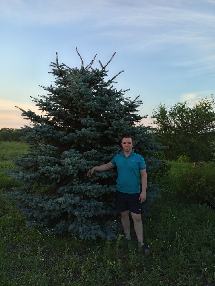 ���������� ��������, ���� ������� �������, 32 ����, ������������ ��� ������, ����� � ���������, c�������� ���������