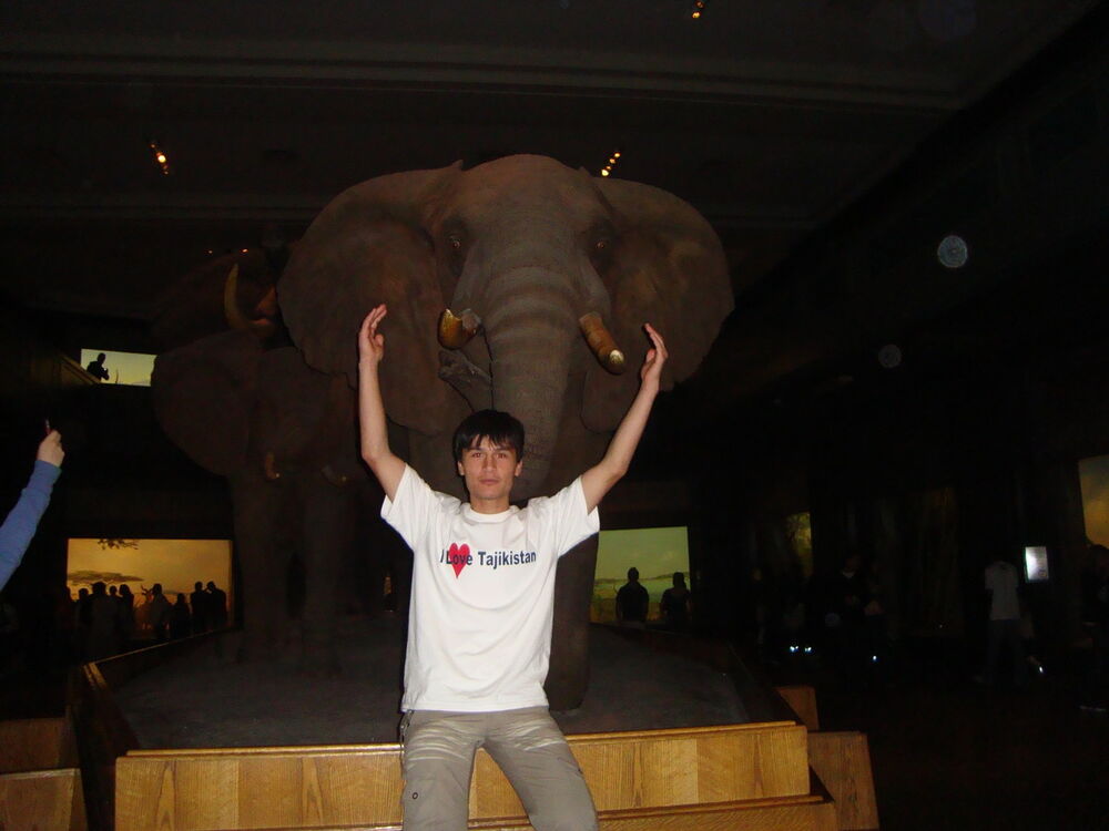  4505064  Fariddun, 37 ,    