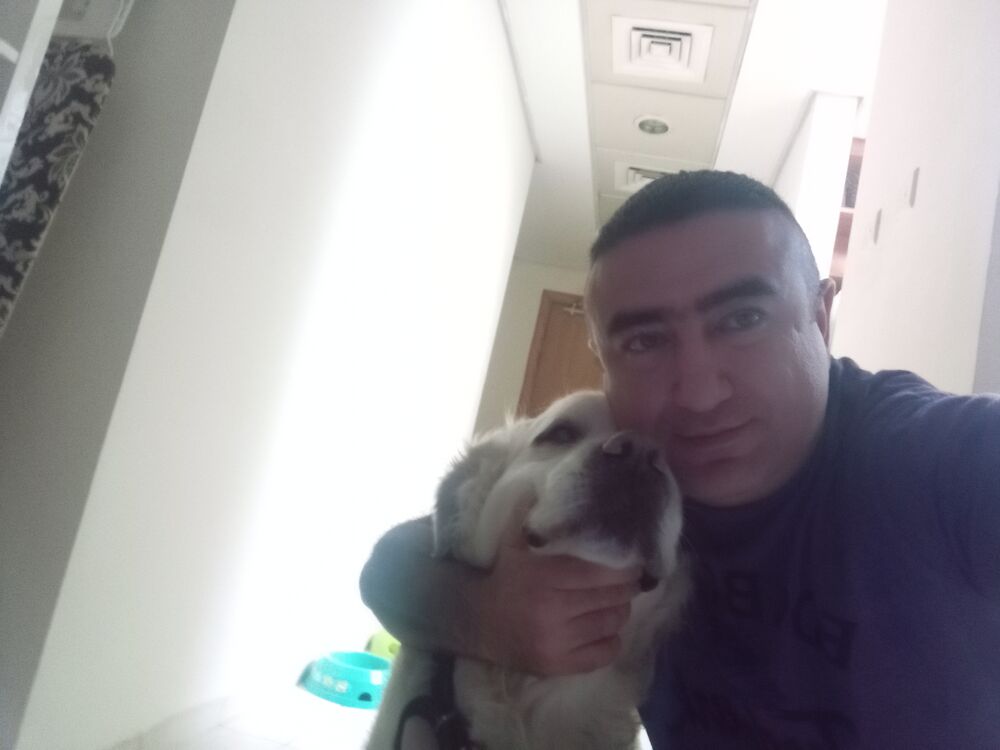  ,   , 41 ,     , c 