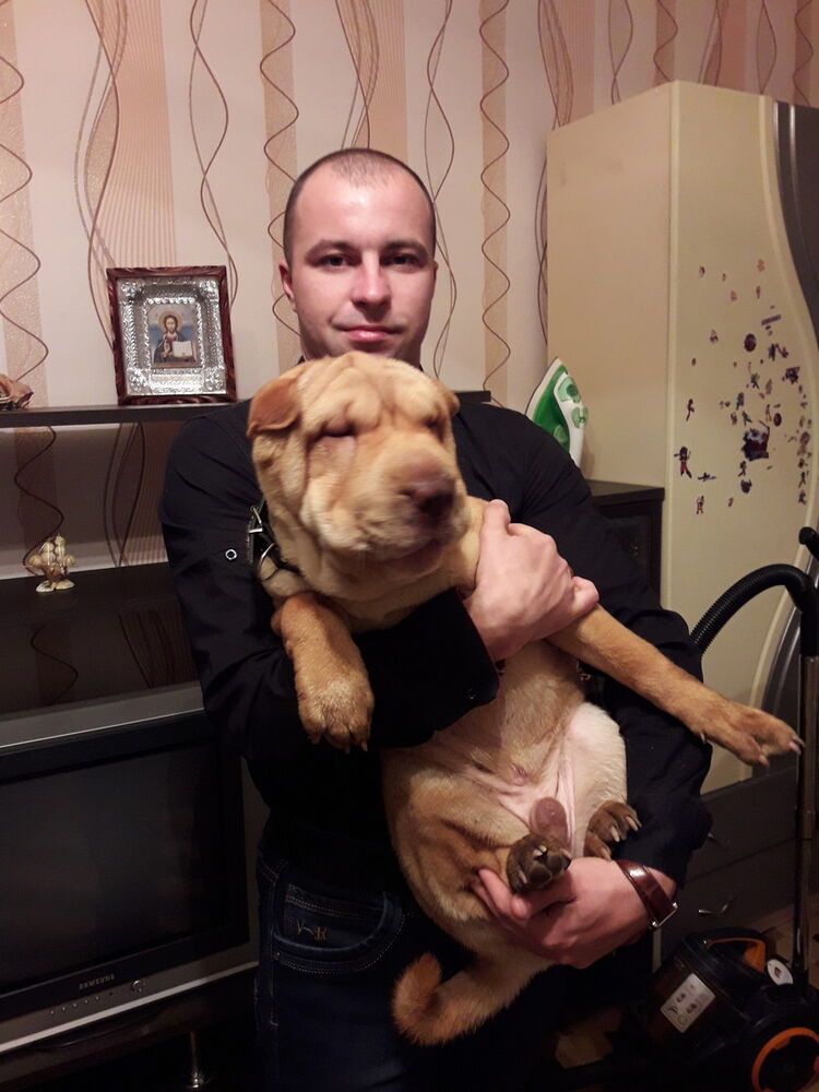 ���� 15293014 ������� �����, 37 ���, ���� ���������� � �����������