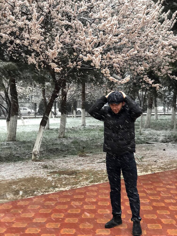 ���� 26481354 ������� Vicco, 26 ���, ���� ���������� � ��������