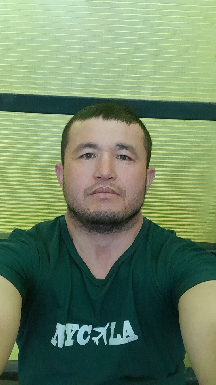  36662344  , 40 ,    