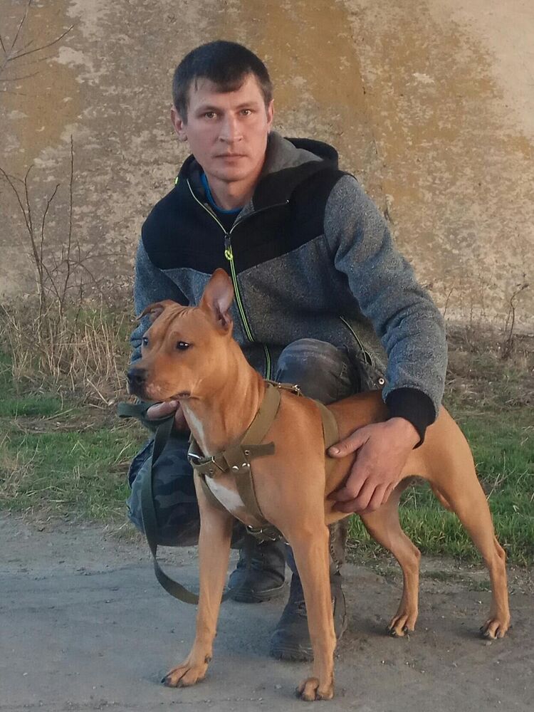 ���������� ���������, ���� ������� ������, 39 ���, ������������ ��� ����� � ���������, c�������� ���������