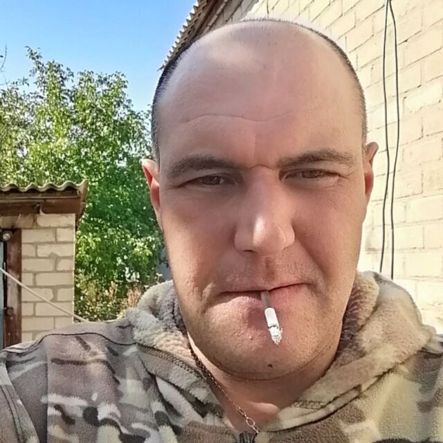  51037564  , 36 ,    