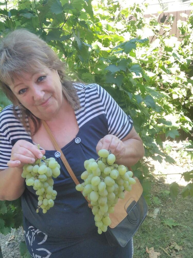 ���������� ���������, ���� ������� ���������, 65 ���, ������������ ��� ����� � ���������, c�������� ���������