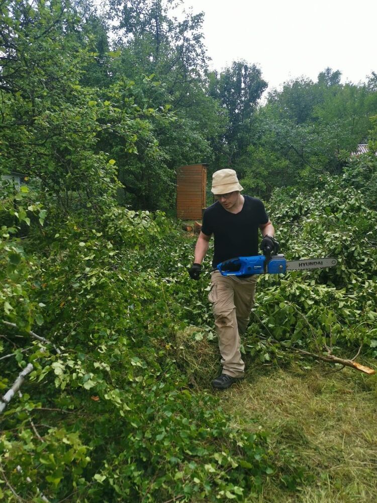 ���������� ������, ���� ������� ����, 31 ���, ������������ ��� ����� � ���������, c�������� ���������