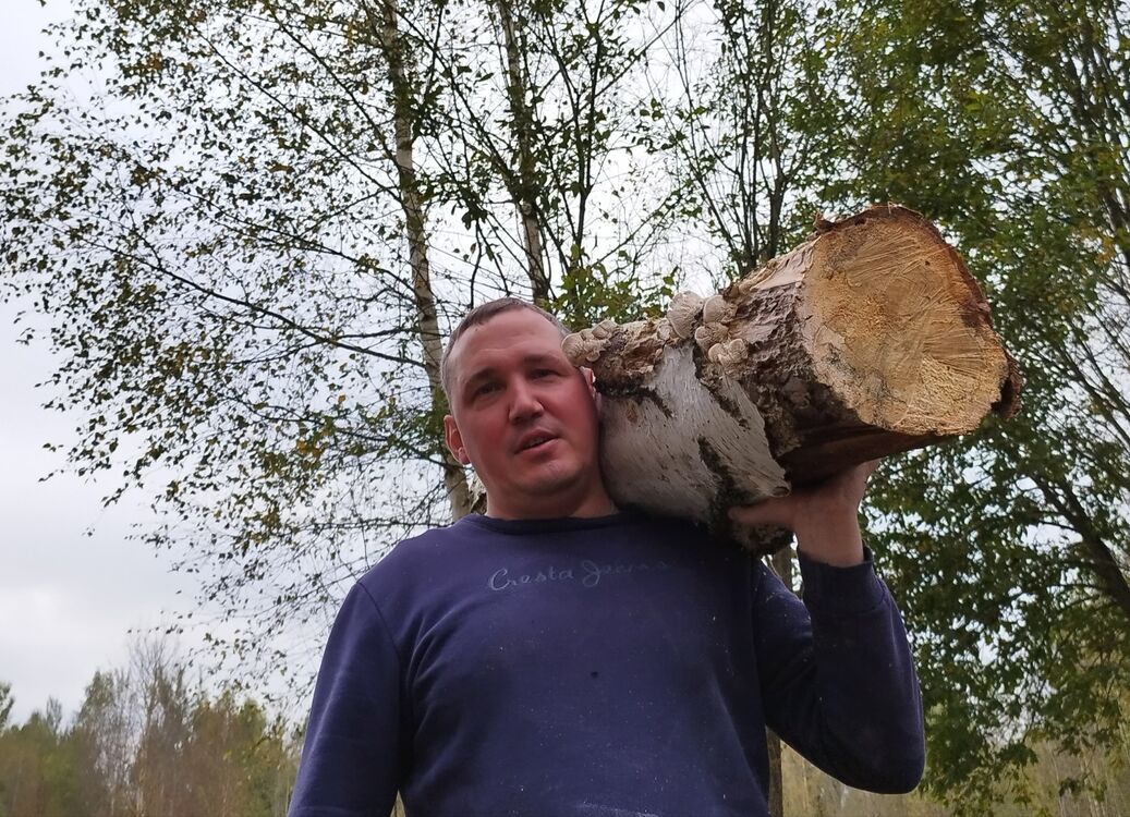  53810394  Intervent, 36 ,    