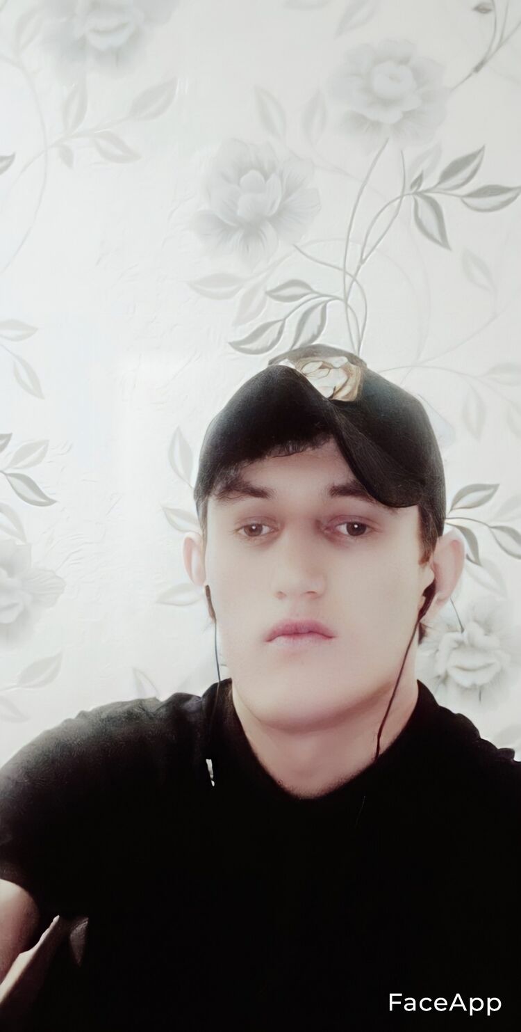  41268024  , 24 ,    
