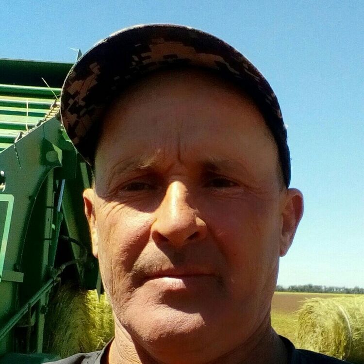  ,   , 54 ,   