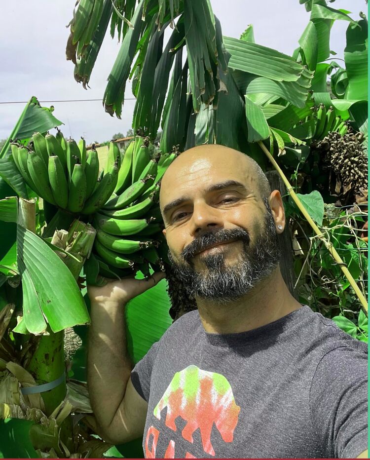 ���� 55169984 ������� ����������, 40 ���, ���� ���������� � �������������