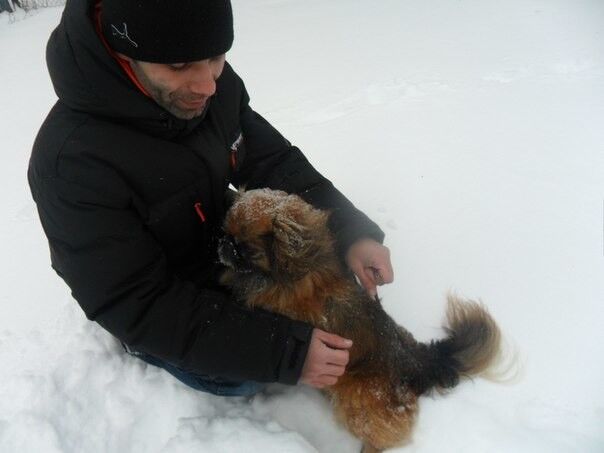 ���� 4887954 ������� ����, 43 ����, ���� ���������� � ����