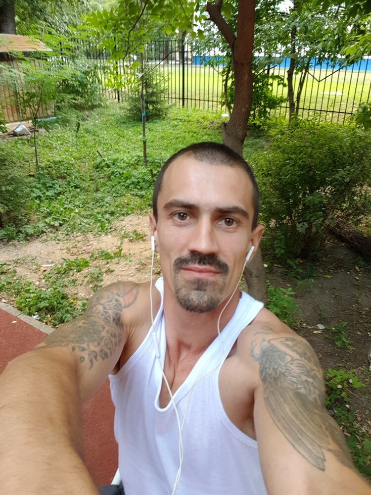  17647214  , 41 ,    
