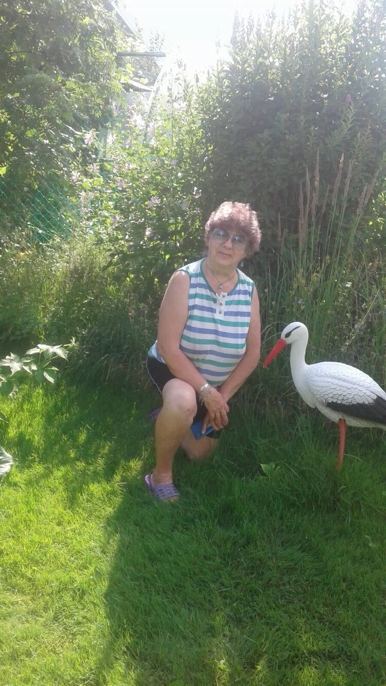 ���������� �����, ���� ������� ����, 66 ���, ������������ ��� ������, ����� � ���������