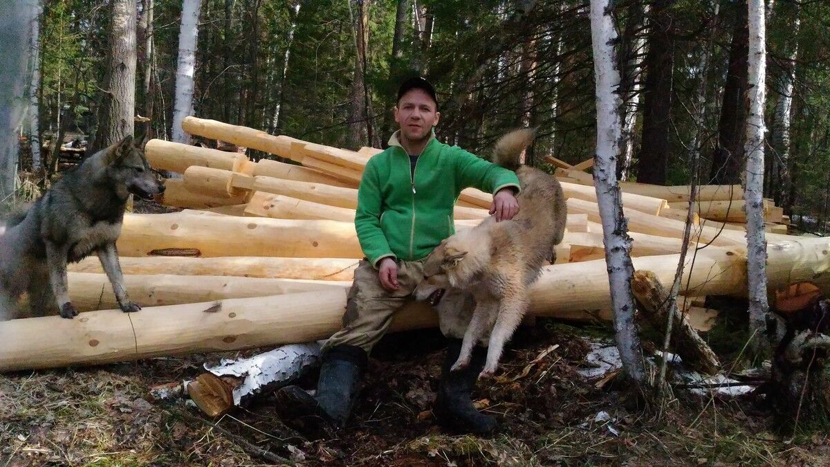 ���������� ������ �����, ���� ������� ������, 41 ���, ������������ ��� ������, ����� � ���������, c�������� ���������