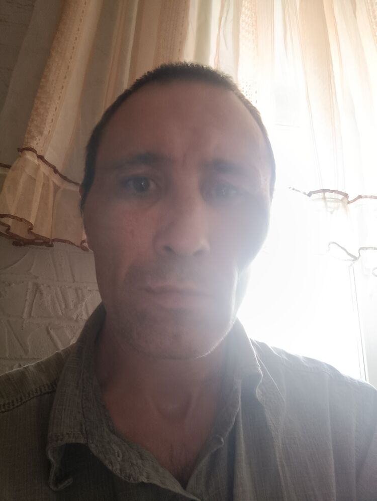  47231394  , 41 ,    