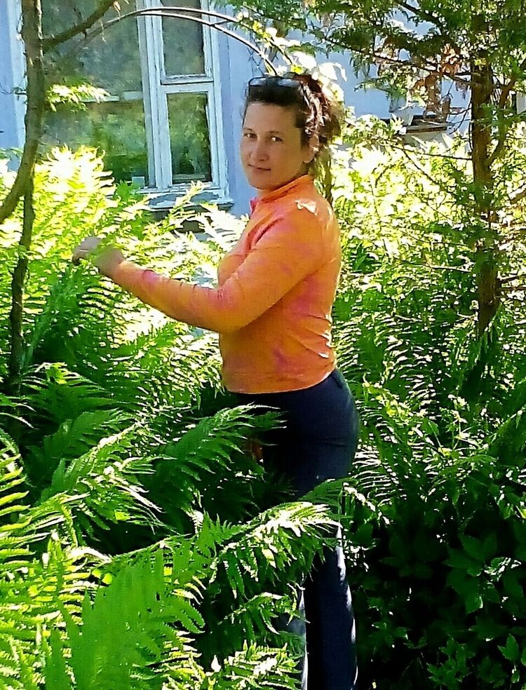  ,   , 50 ,  
