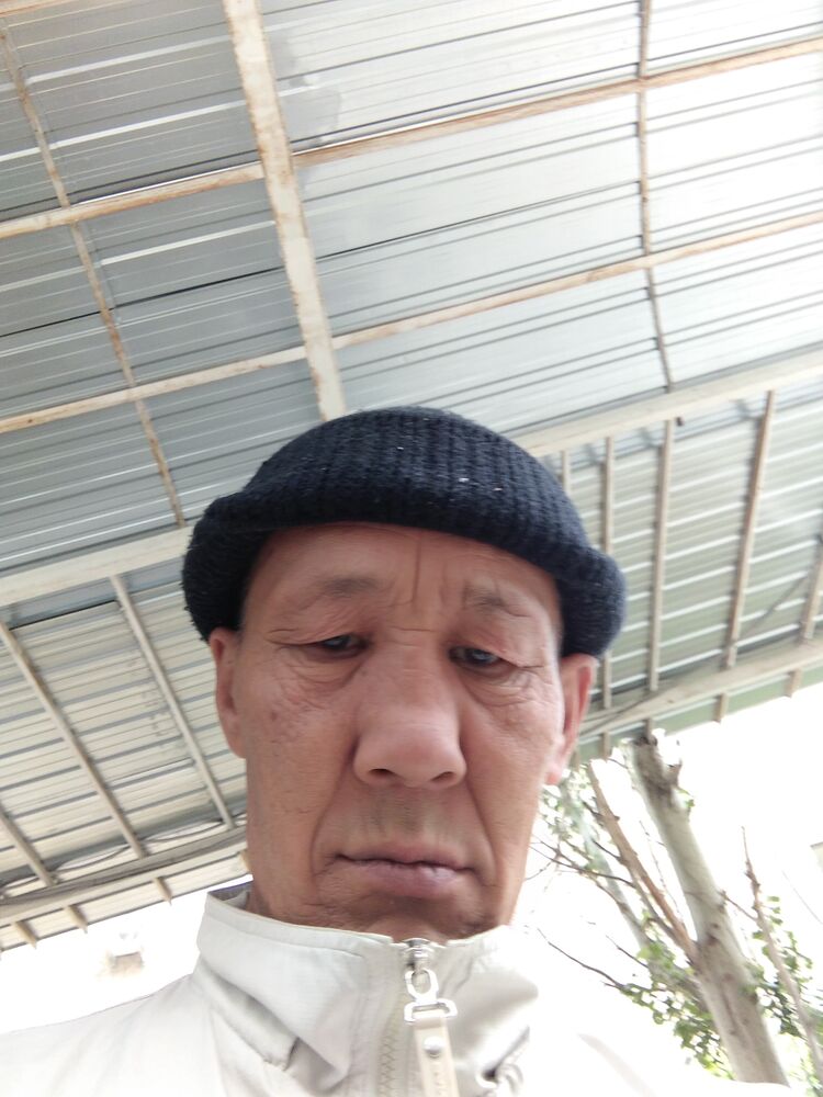  26652034  , 58 ,    