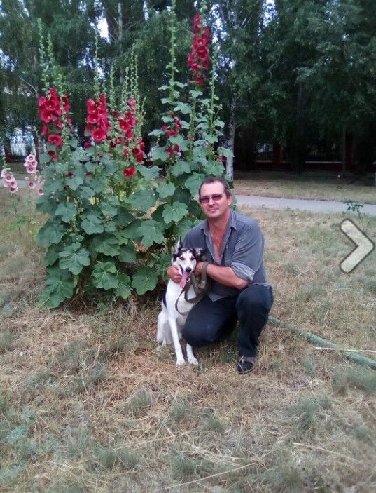  ,   , 51 ,   