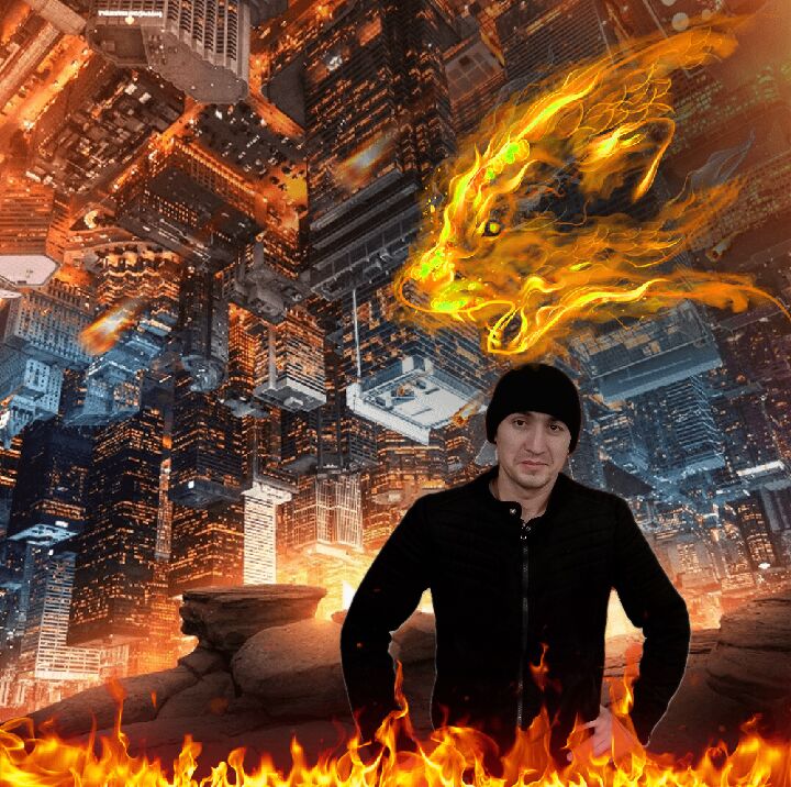  40606904  , 33 ,    -