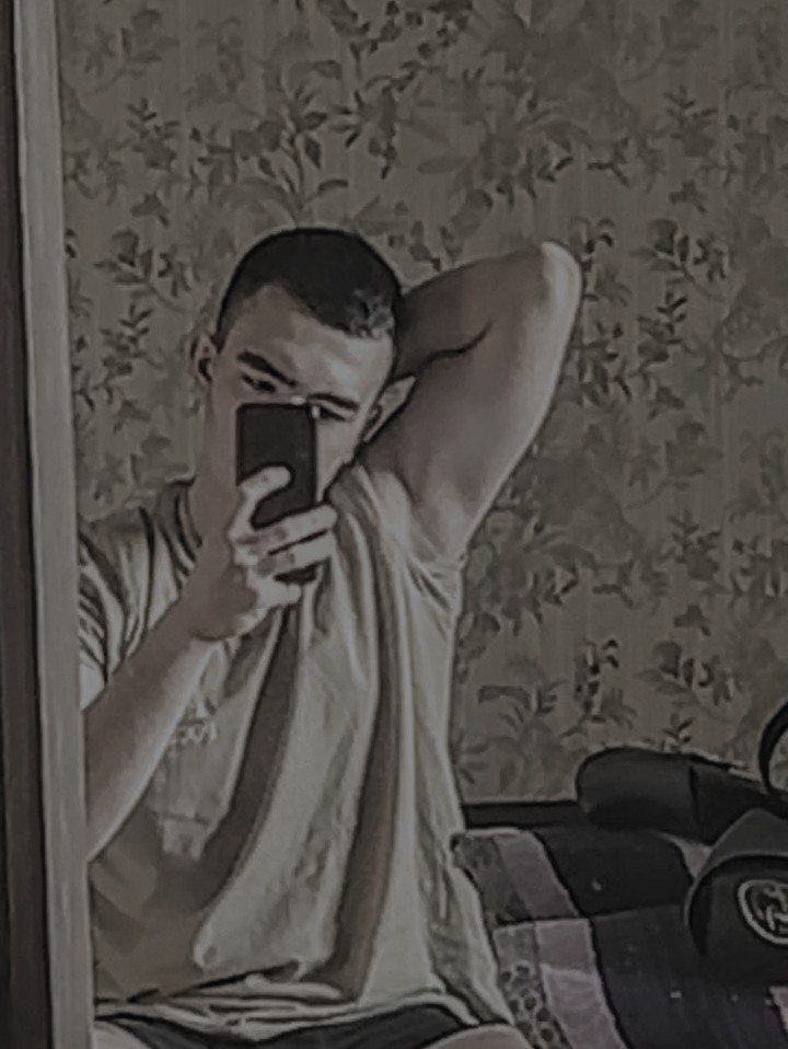  31147784  , 22 ,    