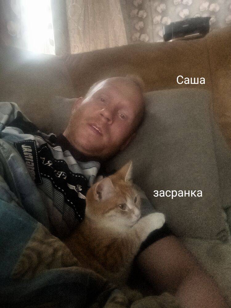 ���� 41391364 ������� ���������, 40 ���, ���� ���������� � ��������