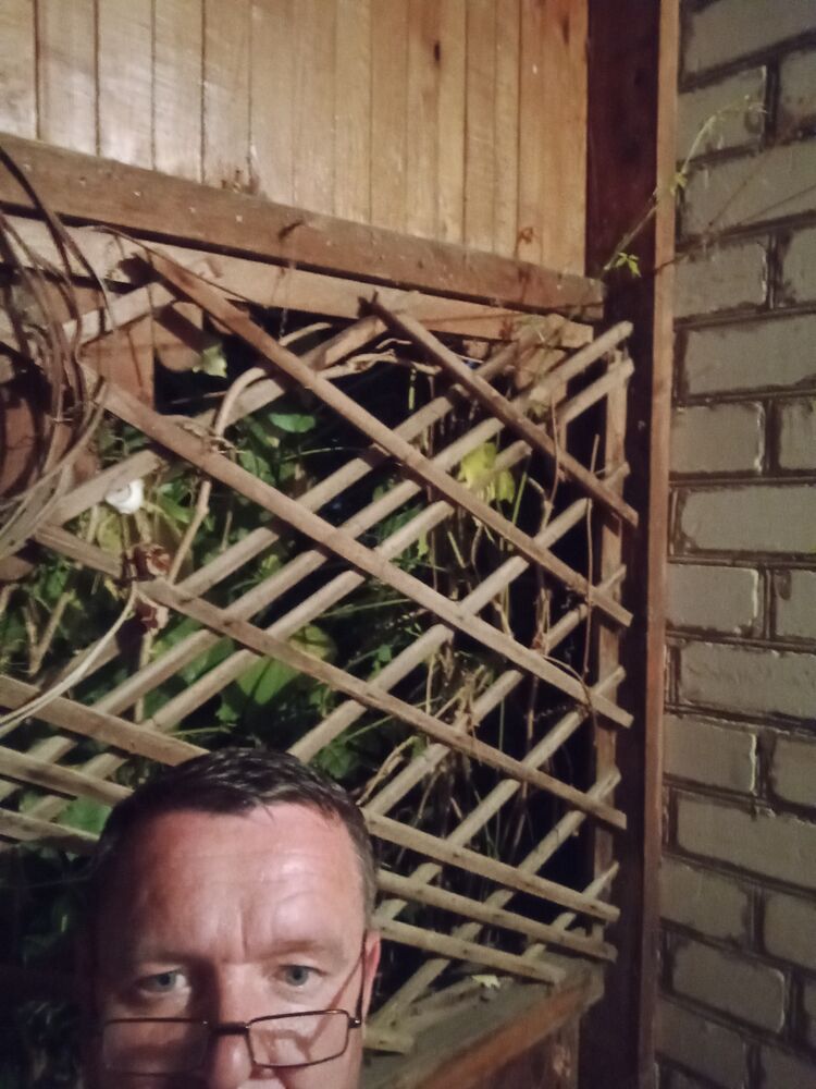  28083734  , 50 ,    