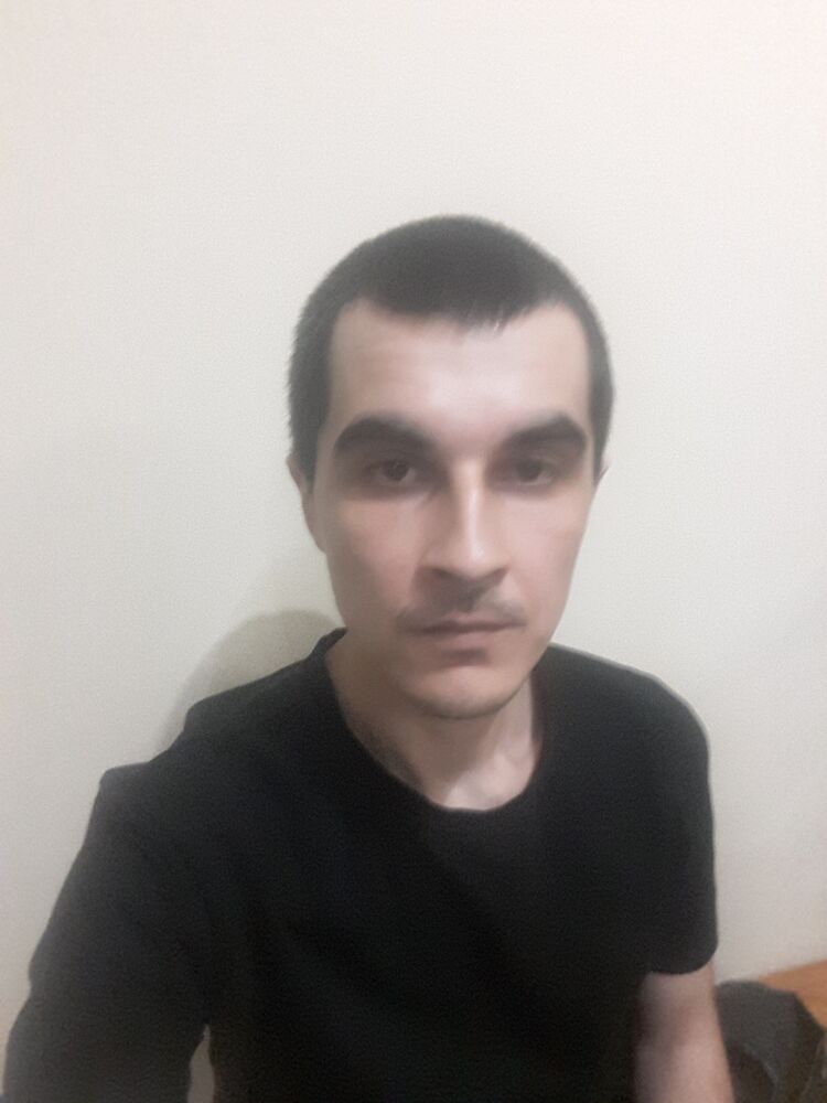  48087504  , 31 ,    