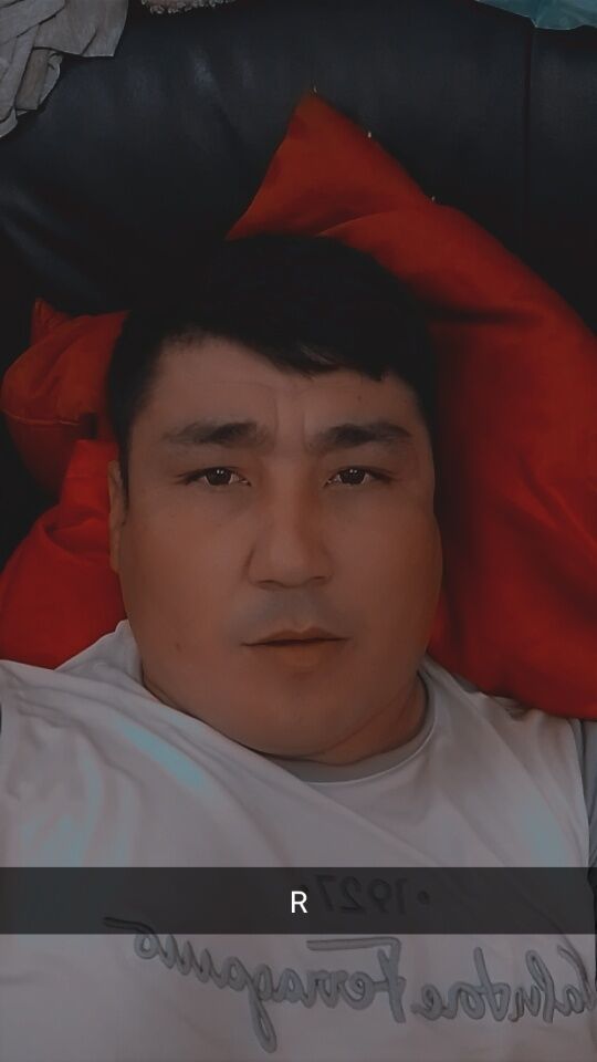  41448704  , 33 ,    