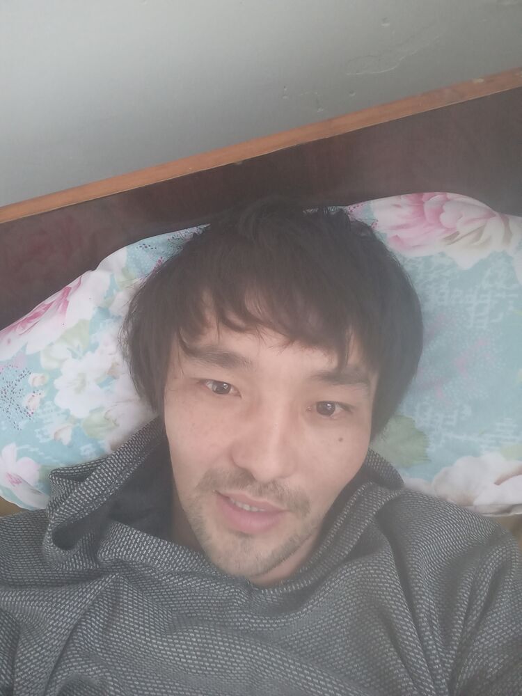  43463394  , 20 ,    