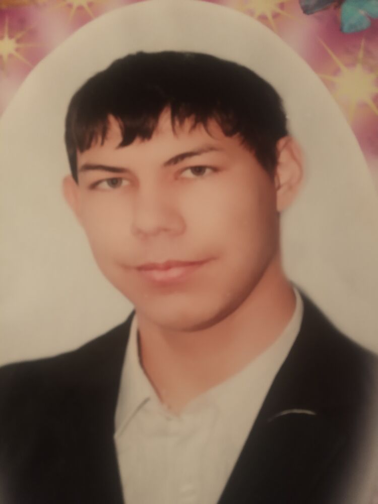  33935284  , 29 ,    