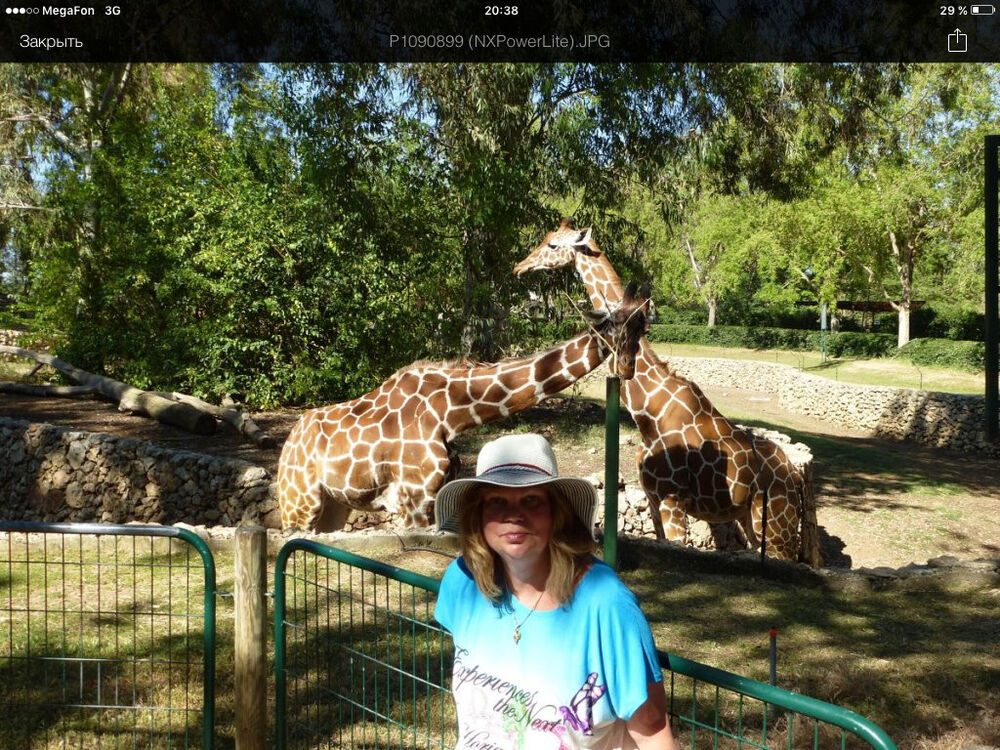 ���������� ������, ���� ������� ��������, 64 ����, ������������ ��� ������, ����� � ���������, c�������� ���������