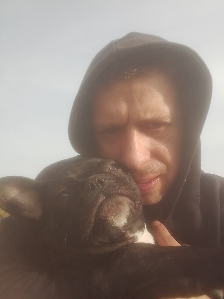 ���� 43176344 ������� �������, 32 ����, ���� ���������� � �����-����������