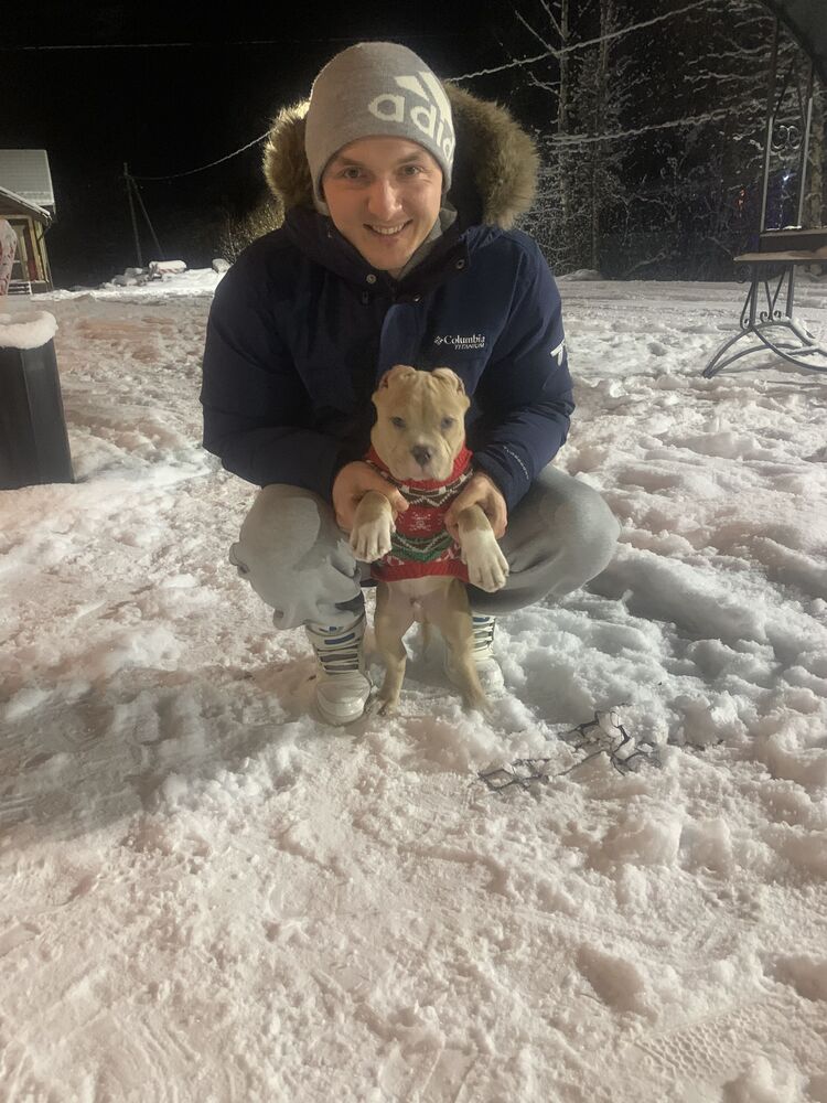 ���������� �����-���������, ���� ������� ������, 28 ���, ������������ 