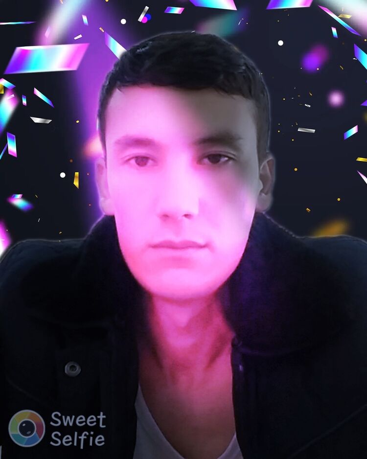 43053684   , 31 ,    