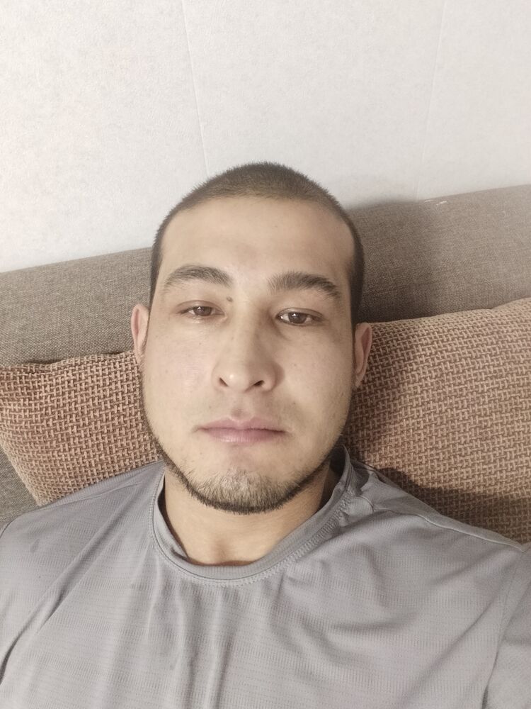  48260864  , 33 ,    