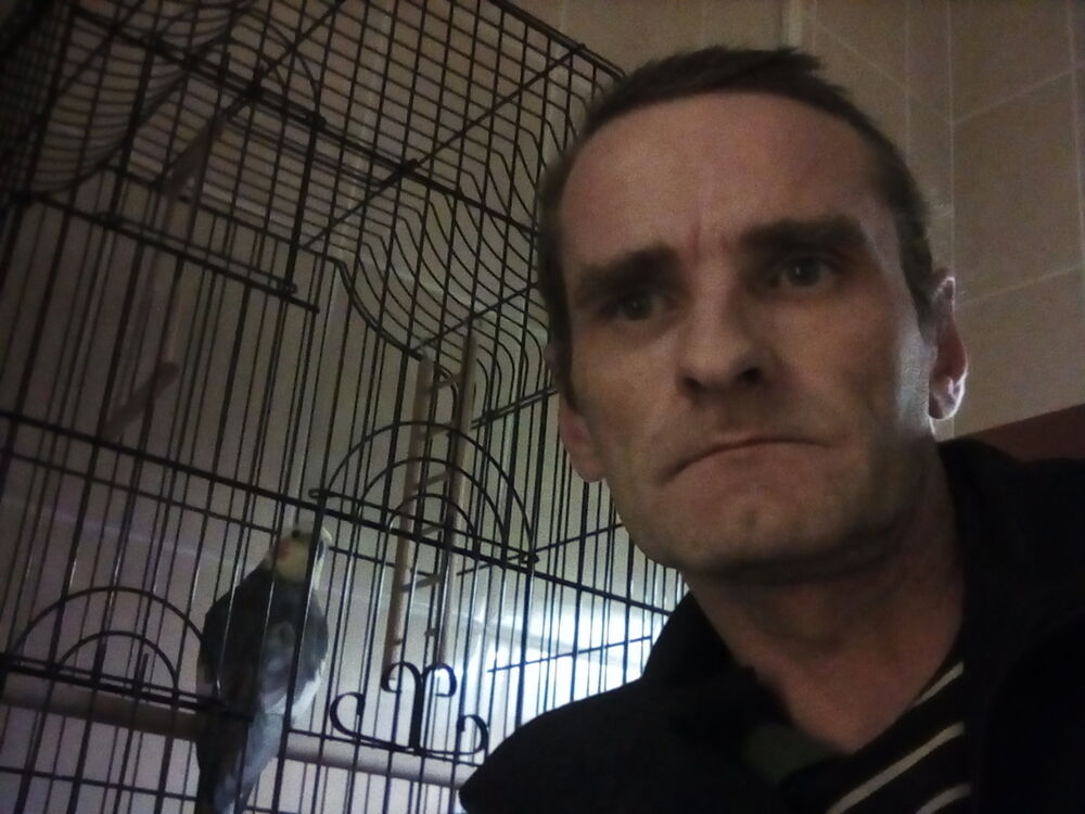  ,   , 48 ,  