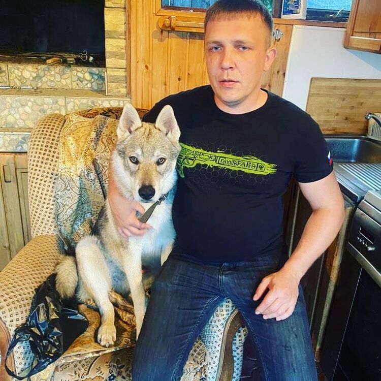 ���� 27733644 ������� �����, 36 ���, ���� ���������� � ������