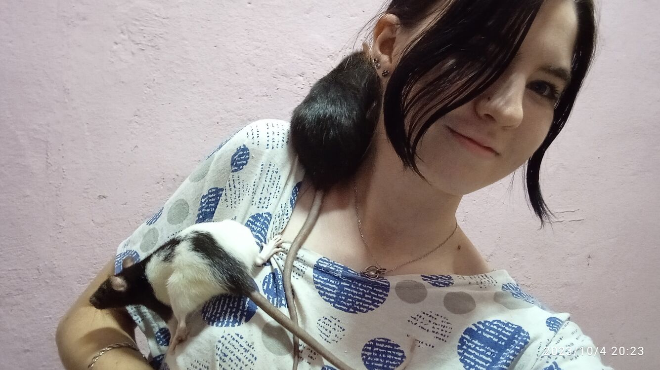  ,   , 20 ,     , c 
