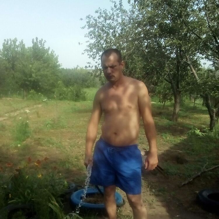  8559344  , 47 ,    -