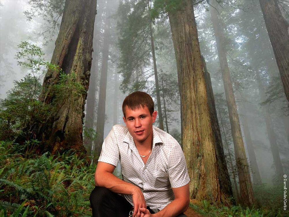  8176604  , 39 ,    -