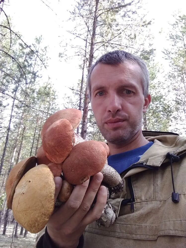 ���������� ������, ���� ������� ����, 36 ���, ������������ ��� ����� � ���������, c�������� ���������