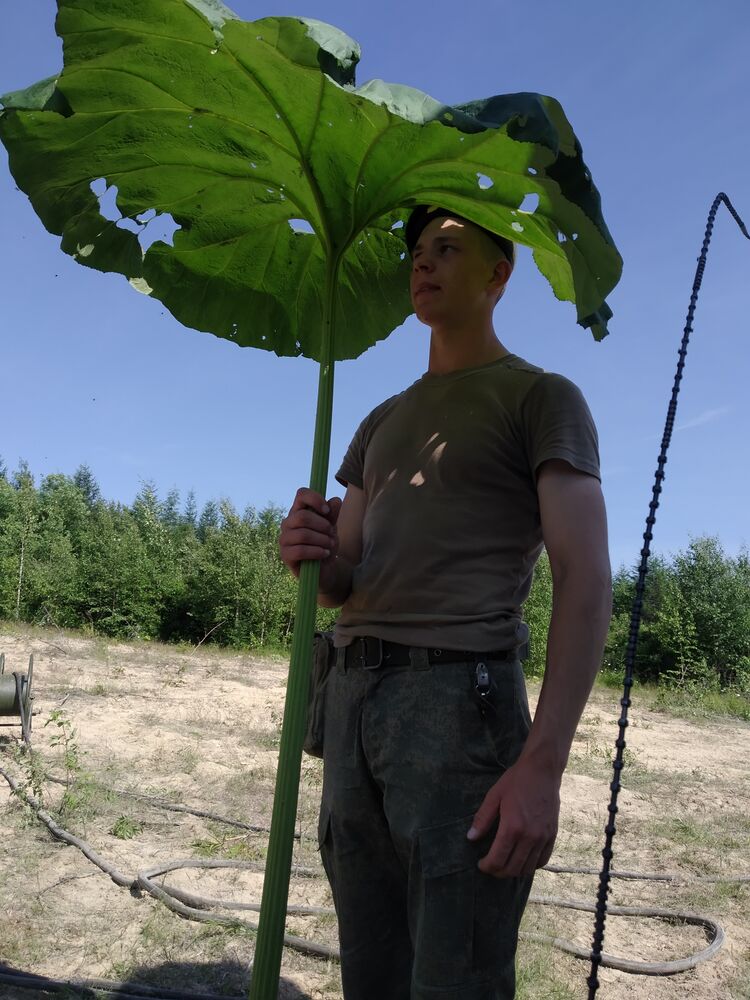 ���� 25662404 ����� �������, 25 ���, ���� ���������� � ����������