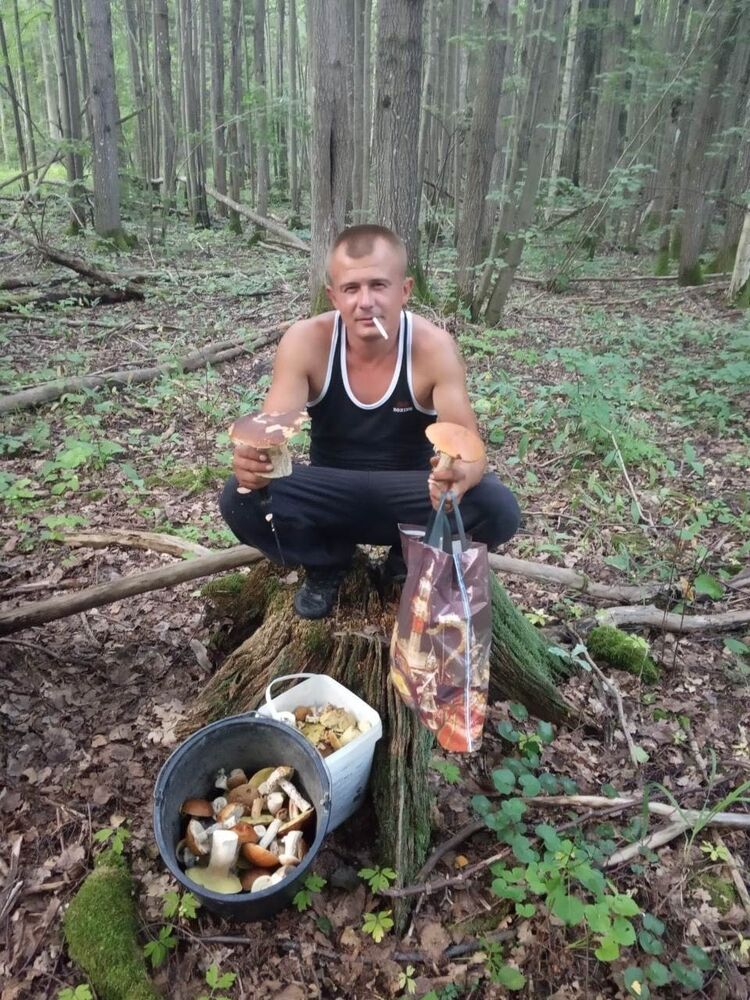  -,   Vladimir, 36 ,     , c 