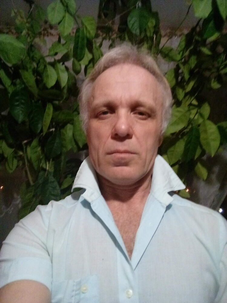 31263234  , 65 ,    