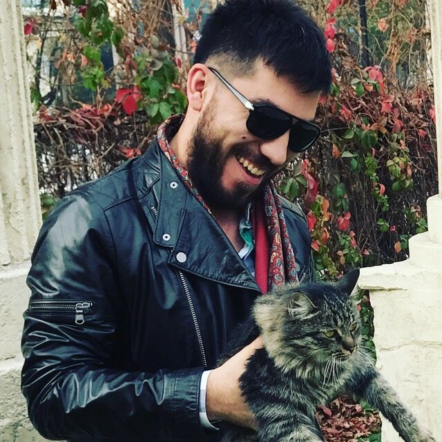  33061894  , 32 ,    -