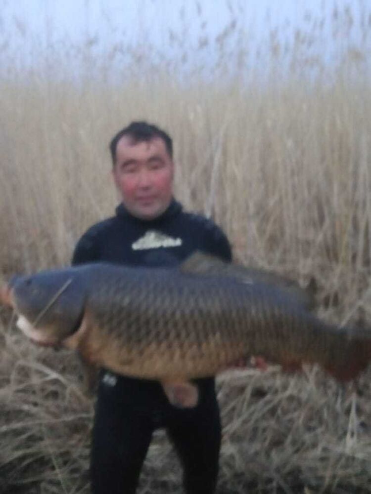  15907114  , 33 ,    -