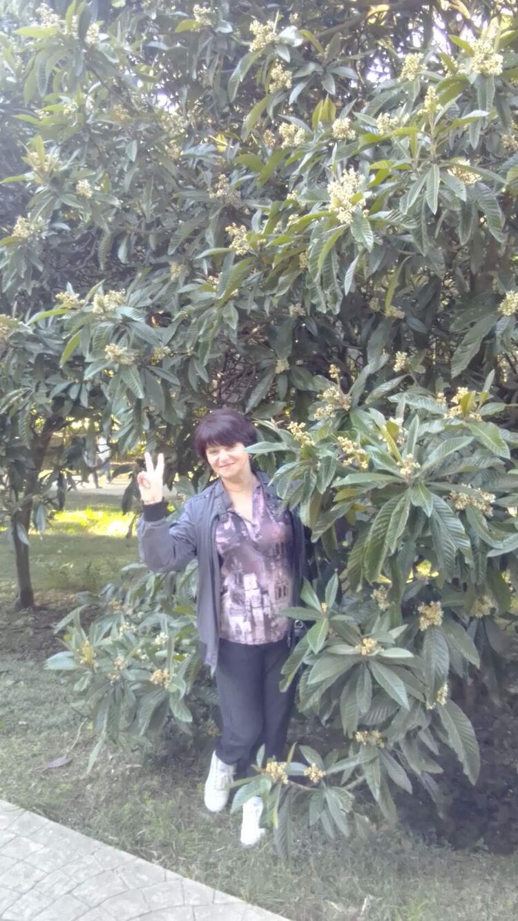 ���������� ������-��-����, ���� ������� �������, 63 ����, ������������ ��� c�������� ���������